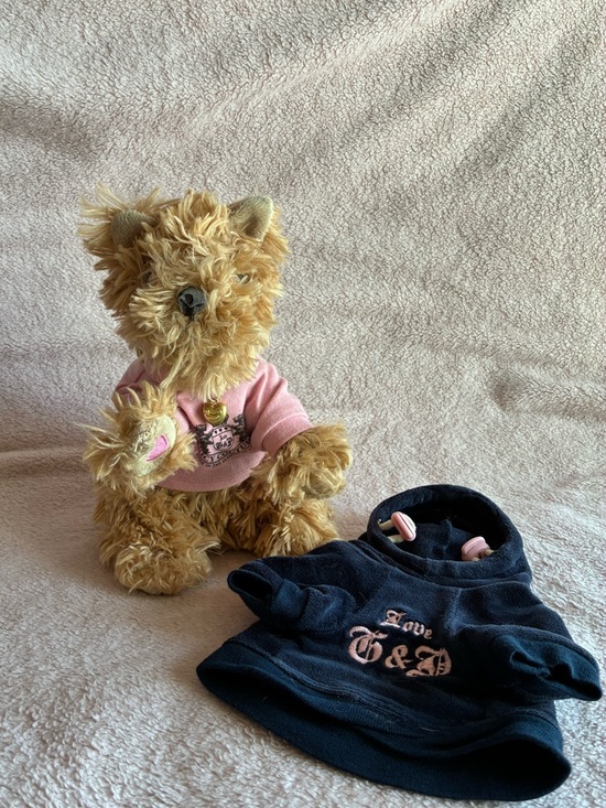 Juicy Couture Other - Juicy Couture - Juicy Doggy Rare 2006 Yorkie Plush Dog